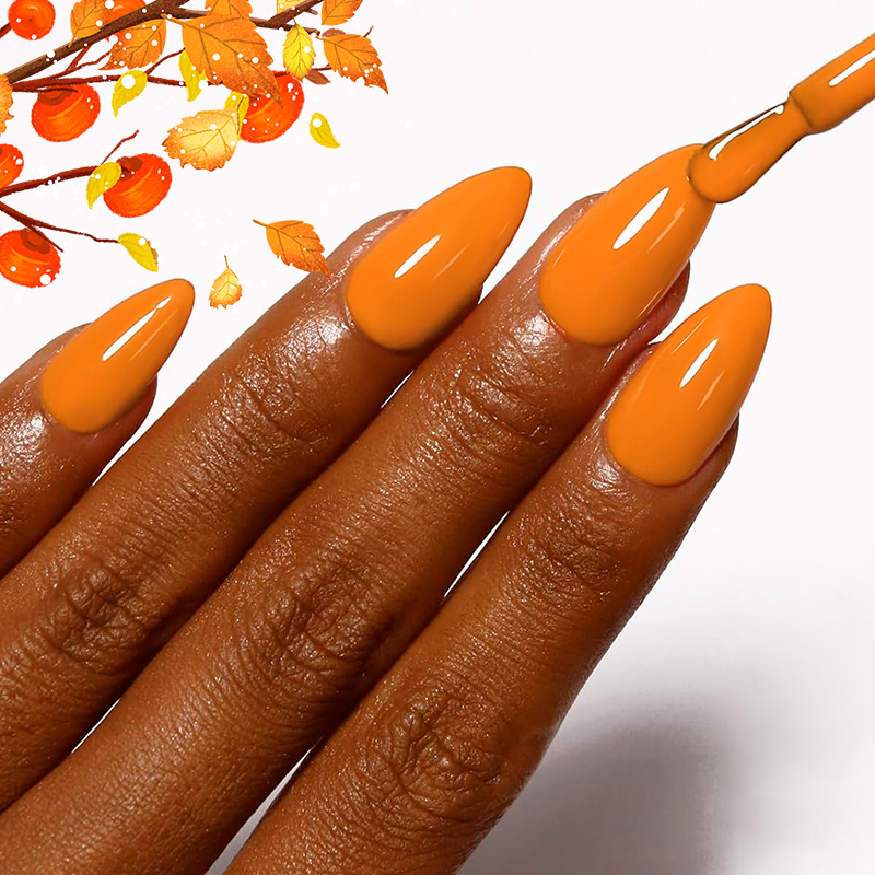 AWStorG 7.5ml 10 Colors Nail G - đánh giá và giá Nail Art Orange
